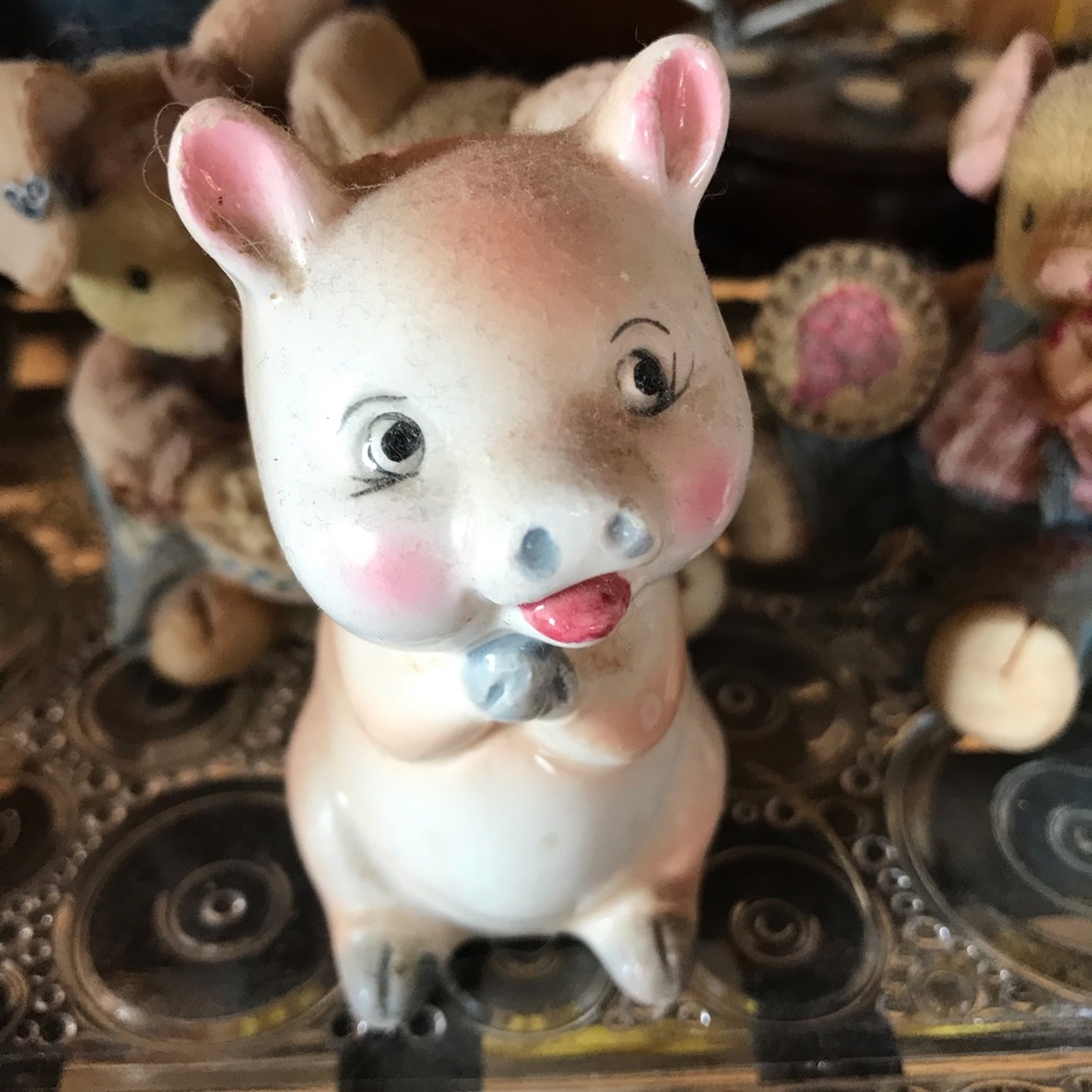 Pig